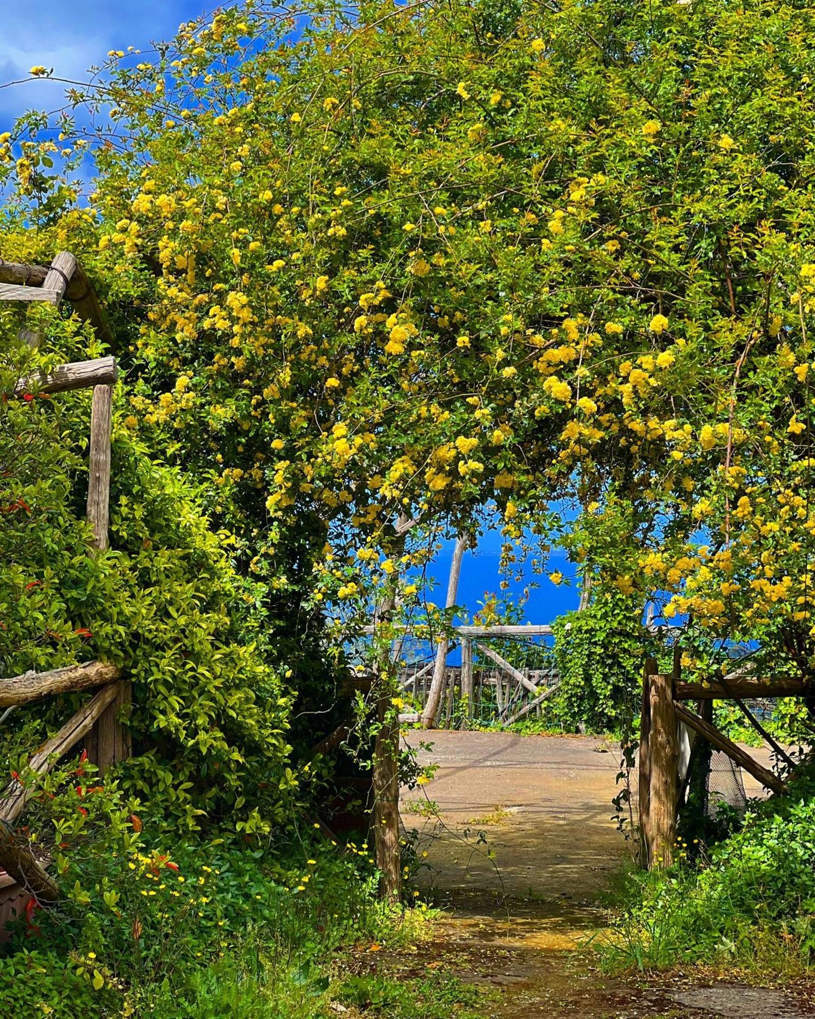 Agriturismo Le Grottelle Villa SantʼAgata sui Due Golfi Exterior foto