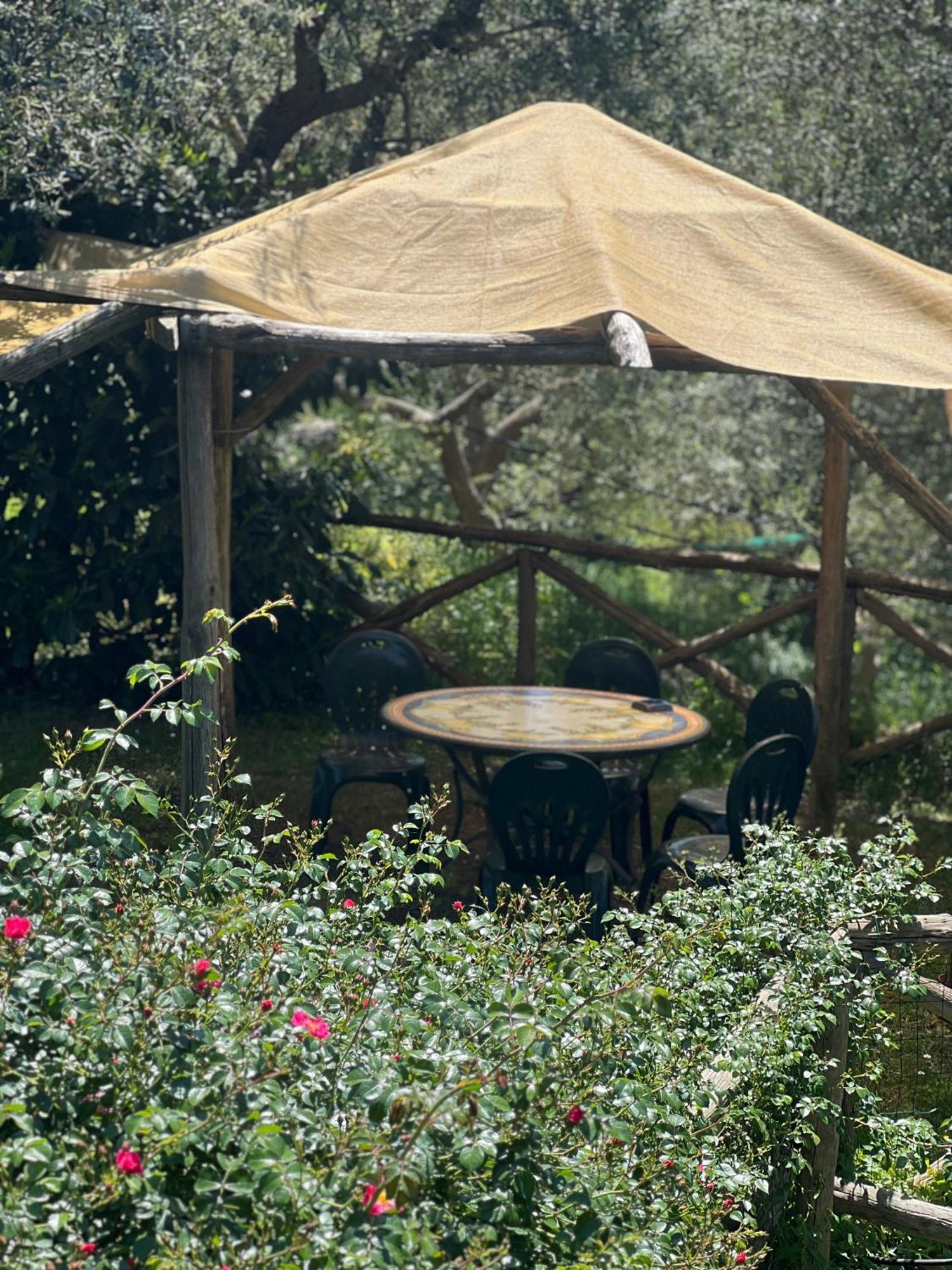 Agriturismo Le Grottelle Villa SantʼAgata sui Due Golfi Exterior foto